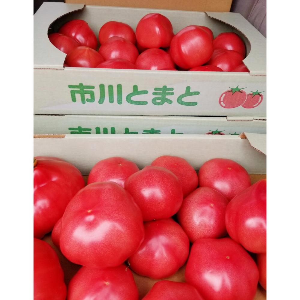 トマト塩麹ドレッシング（市川産完熟トマト使用）