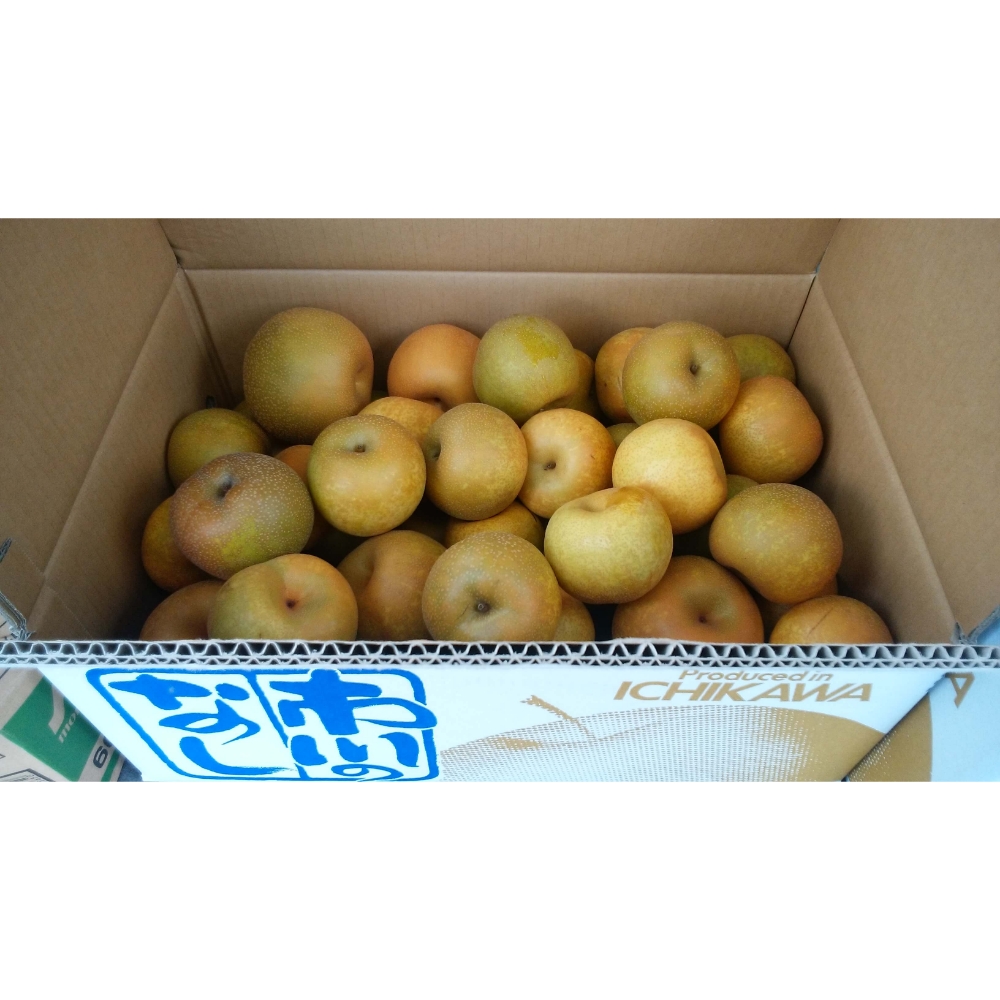 梨ドレッシング（季節限定8月～１月）市川産梨・瀬戸内レモン使用