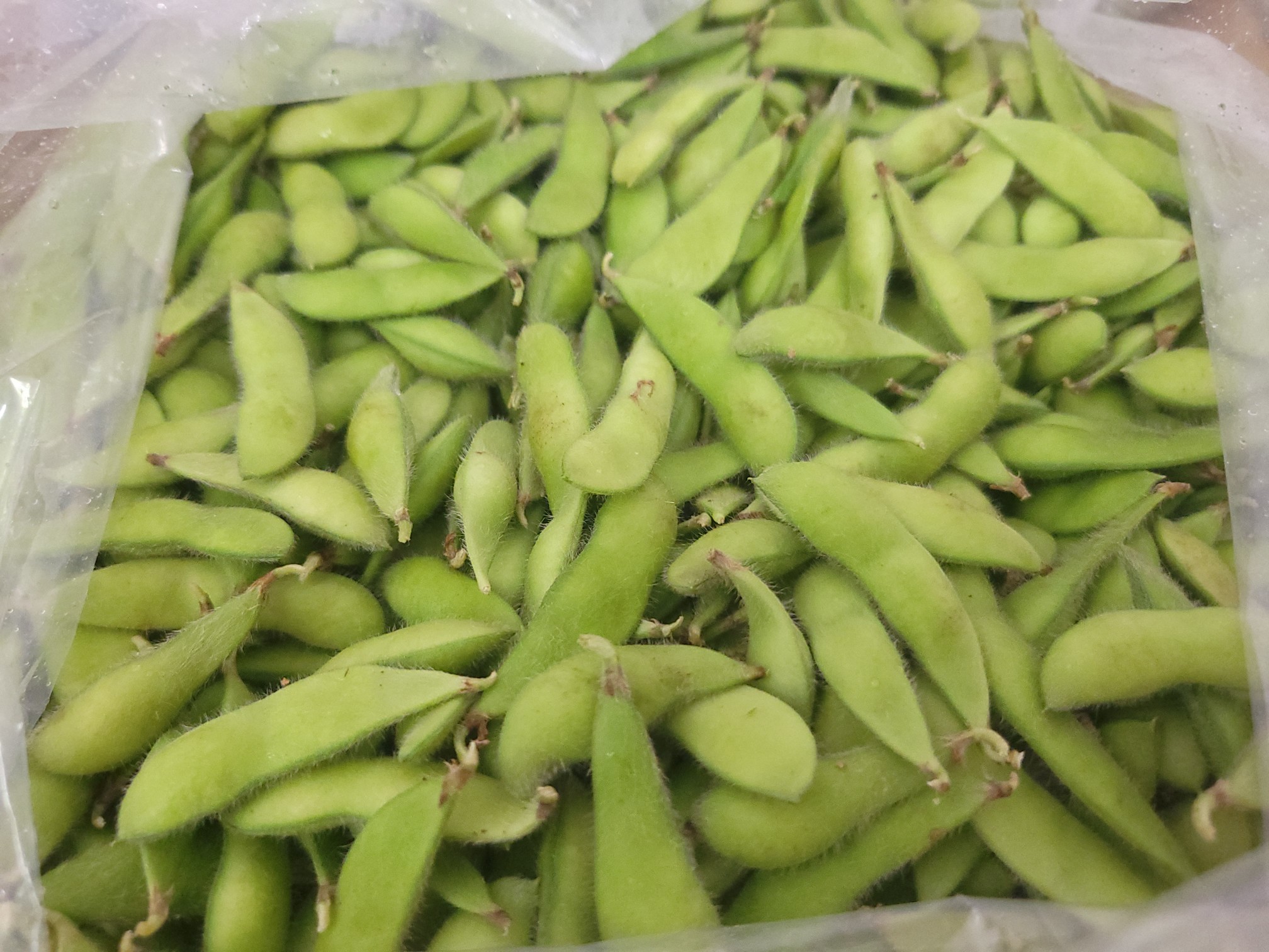 枝豆ドレッシング☆新商品【季節限定】船橋産枝豆！旨味とコクがあり、風味豊かで美味しい